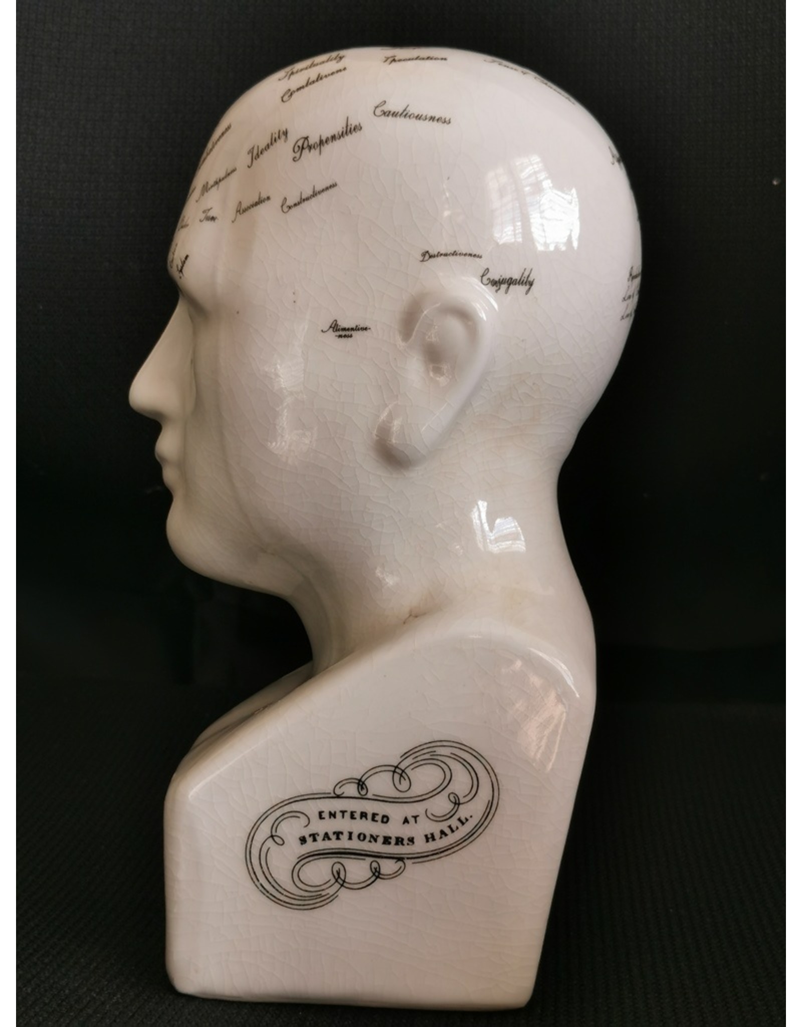 Trukado Miscellaneous - Phrenology  Ceramic Head Medium (20cm)