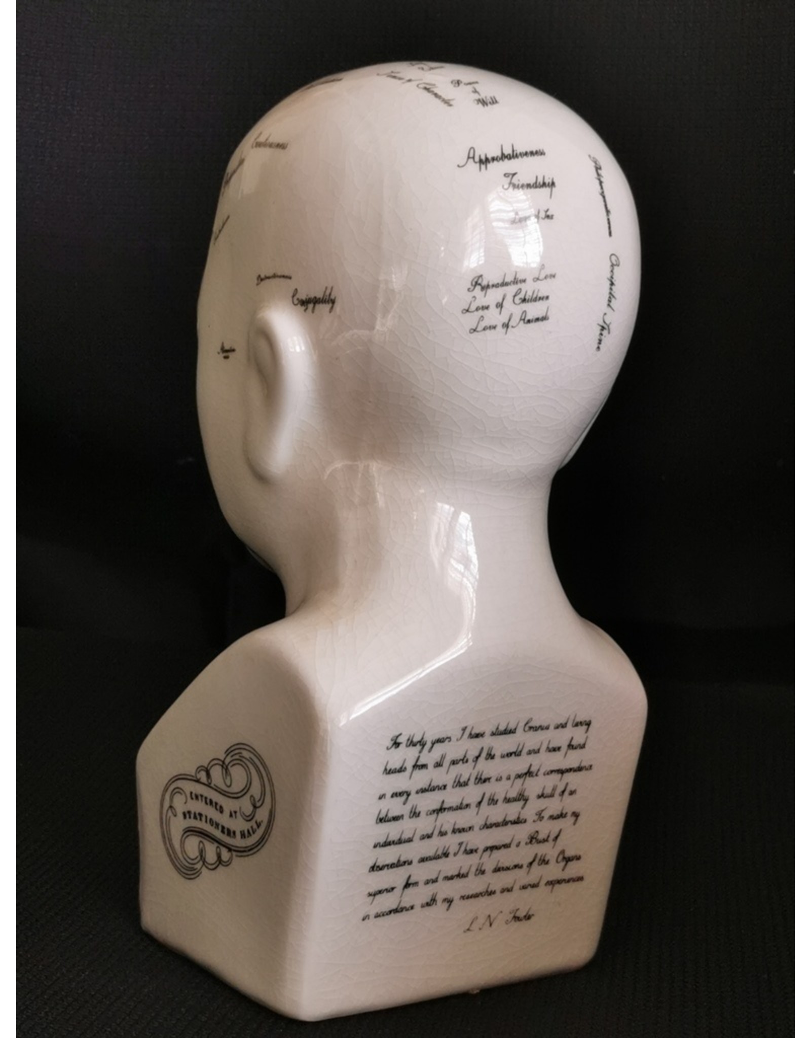 Trukado Miscellaneous - Phrenology  Ceramic Head Medium (20cm)