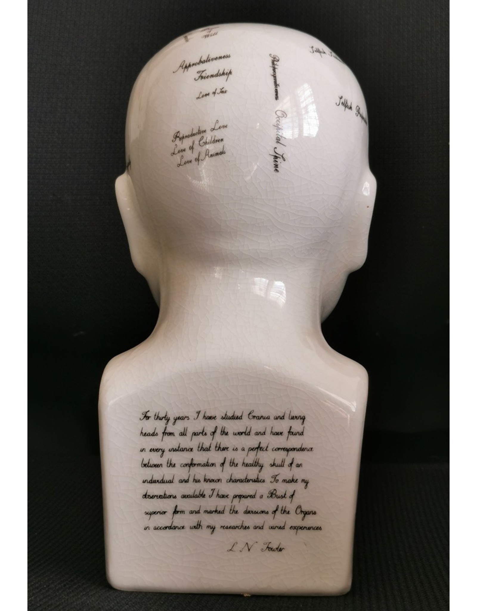 Trukado Miscellaneous -   Phrenology Keramiek Hoofd Medium (20cm)