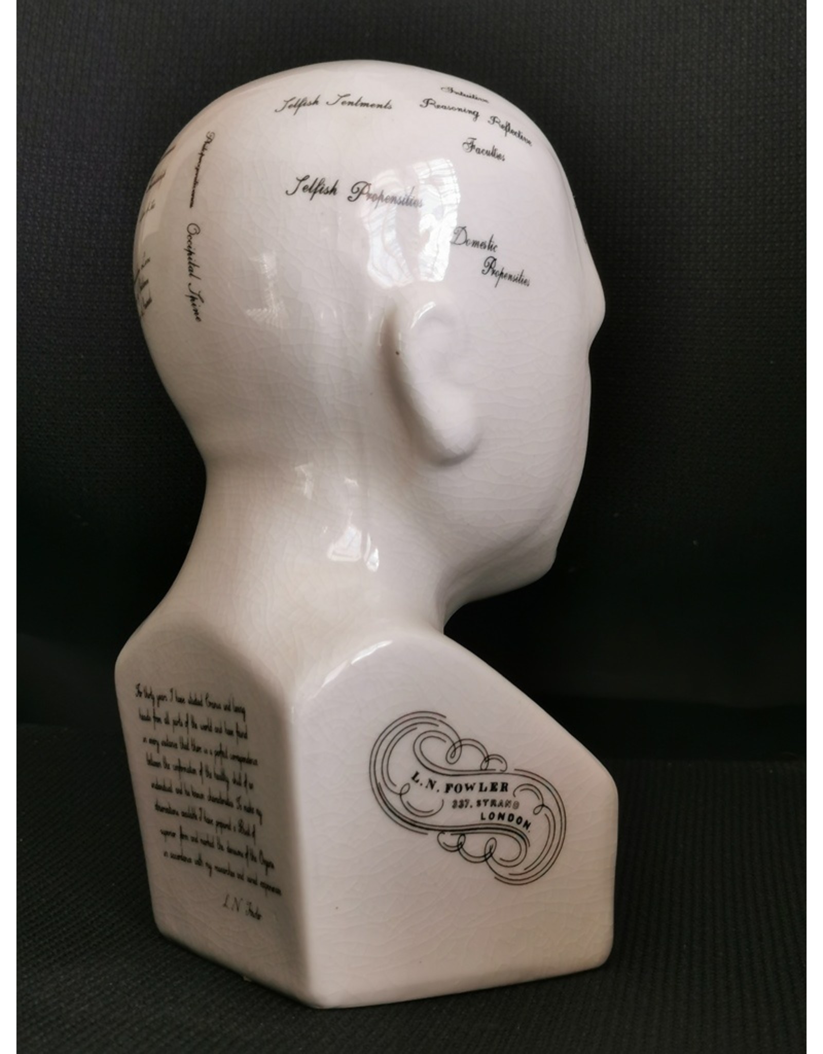 Trukado Miscellaneous - Phrenology  Ceramic Head Medium (20cm)