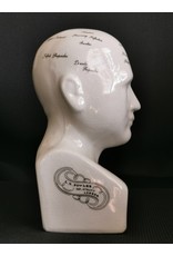 Trukado Miscellaneous - Phrenology  Ceramic Head Medium (20cm)