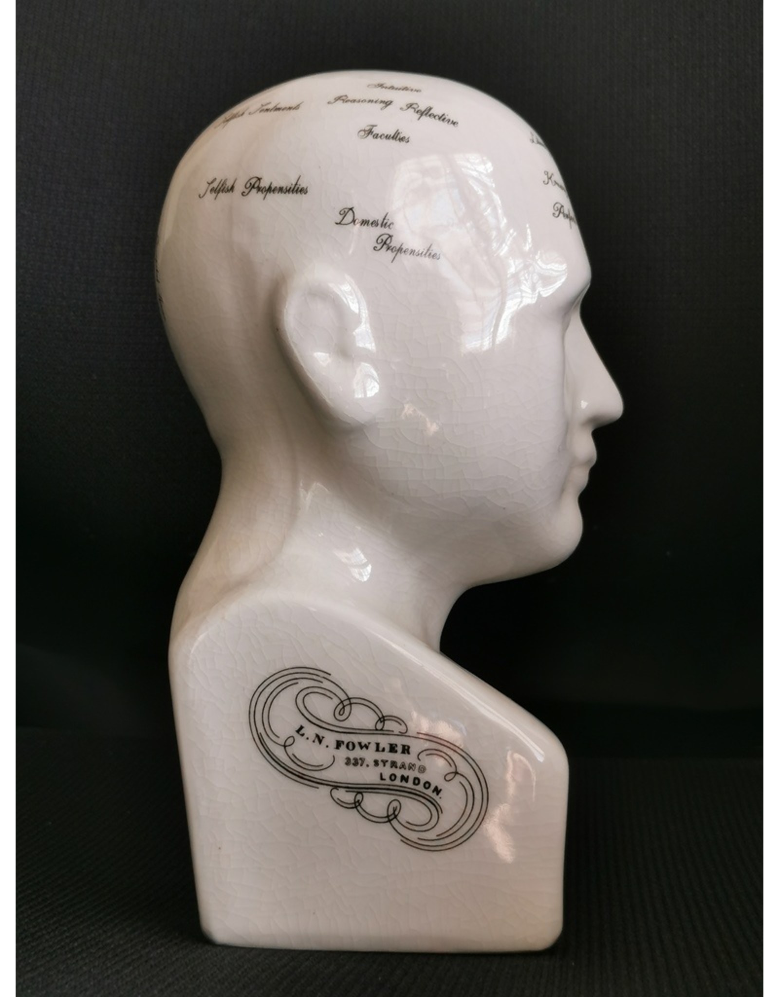 Trukado Miscellaneous - Phrenology  Ceramic Head Medium (20cm)