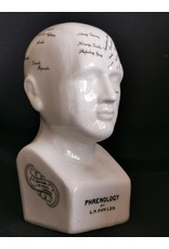 Trukado Miscellaneous - Phrenology  Ceramic Head Medium (20cm)