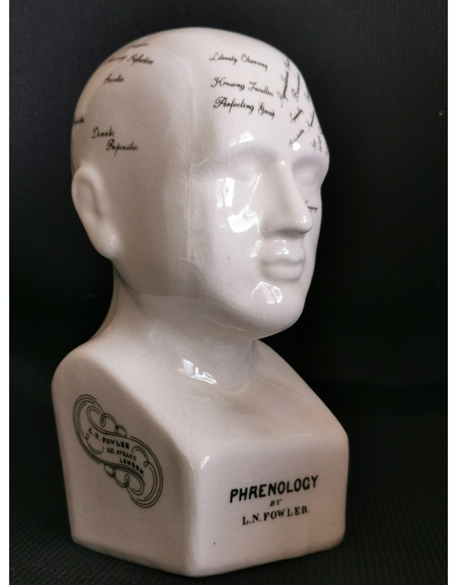 Trukado Miscellaneous - Phrenology  Ceramic Head Medium (20cm)