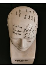 Trukado Miscellaneous - Phrenology  Ceramic Head Medium (20cm)