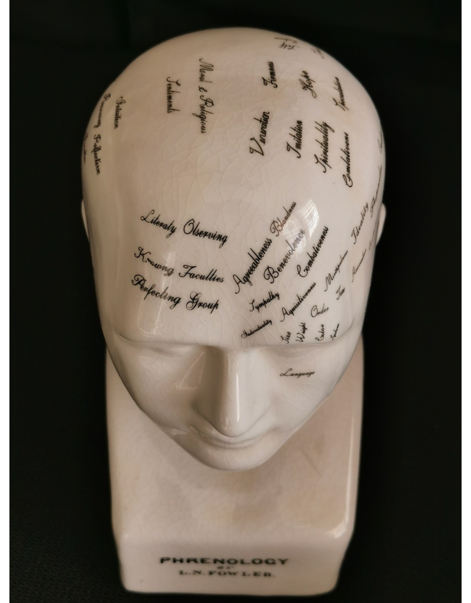 Trukado Miscellaneous - Phrenology  Ceramic Head Medium (20cm)