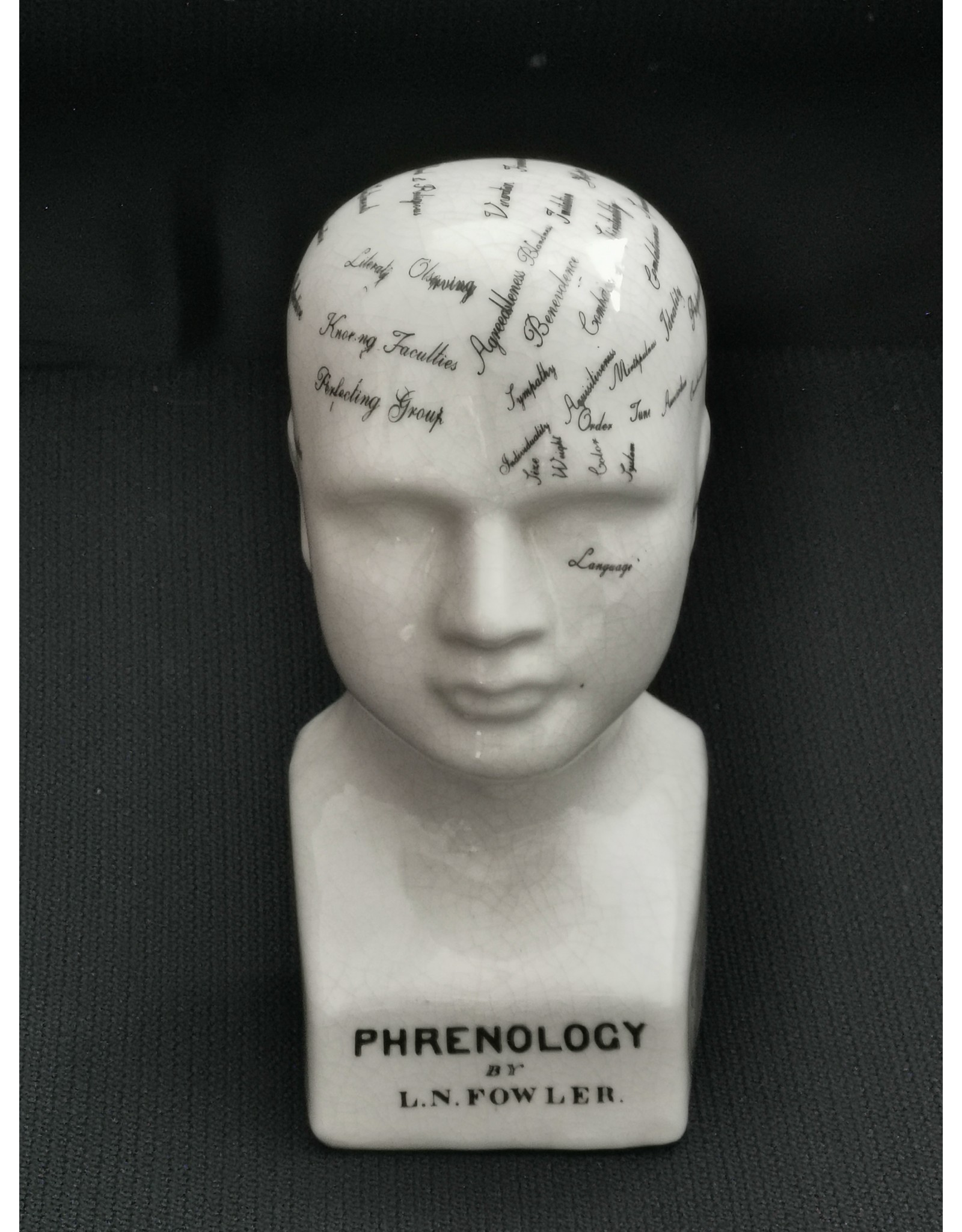 Trukado Miscellaneous - Phrenology  Ceramic Head Small (14cm)