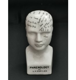 Trukado Phrenology  Ceramic Head Small (14cm)