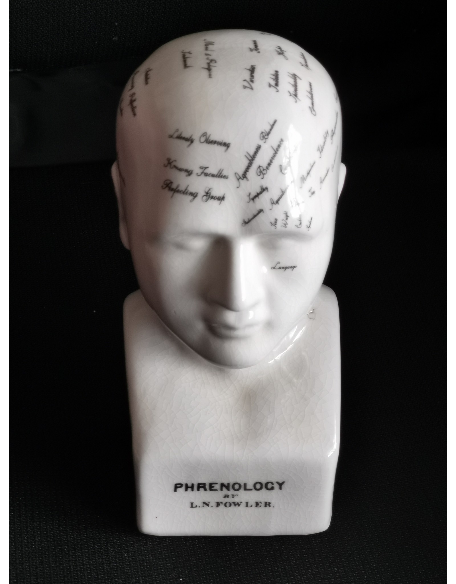 Trukado Miscellaneous - Phrenology  Ceramic Head Medium (20cm)