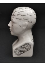 Trukado Miscellaneous - Phrenology  Ceramic Head Small (14cm)