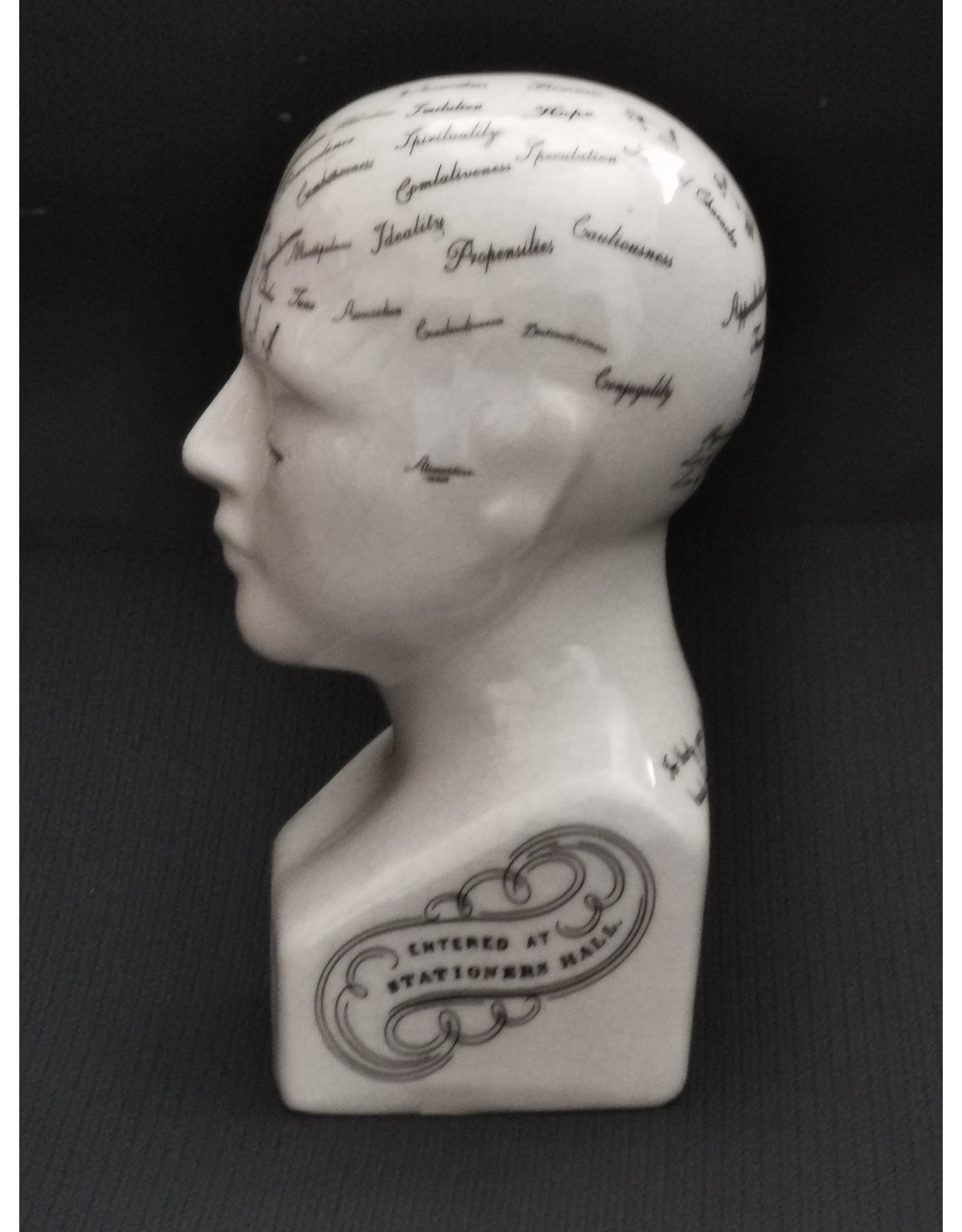 Trukado Miscellaneous - Phrenology  Ceramic Head Small (14cm)