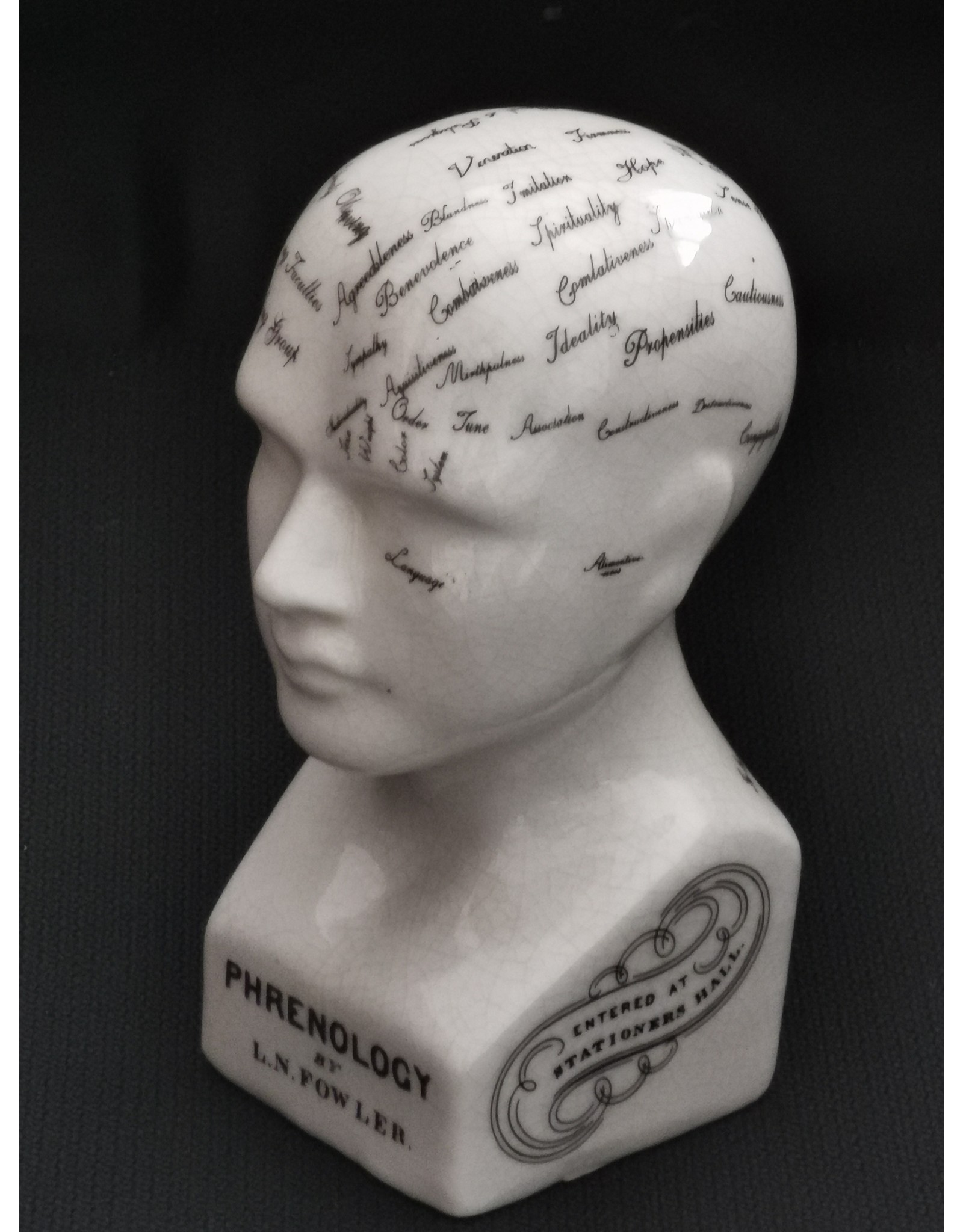 Trukado Miscellaneous - Phrenology  Ceramic Head Small (14cm)