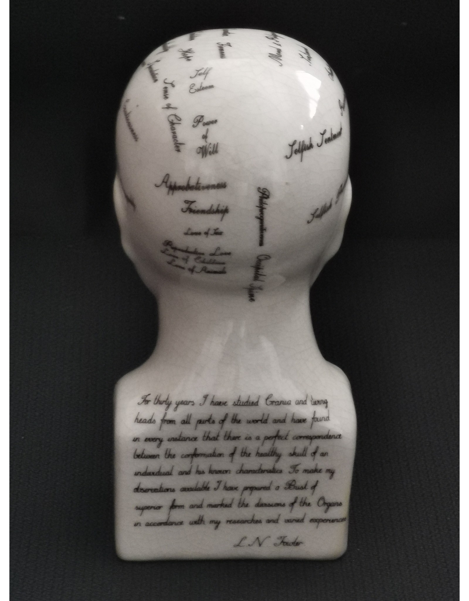 Trukado Miscellaneous - Phrenology  Ceramic Head Small (14cm)