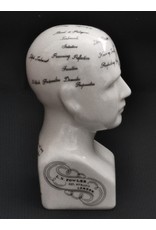 Trukado Miscellaneous - Phrenology  Ceramic Head Small (14cm)