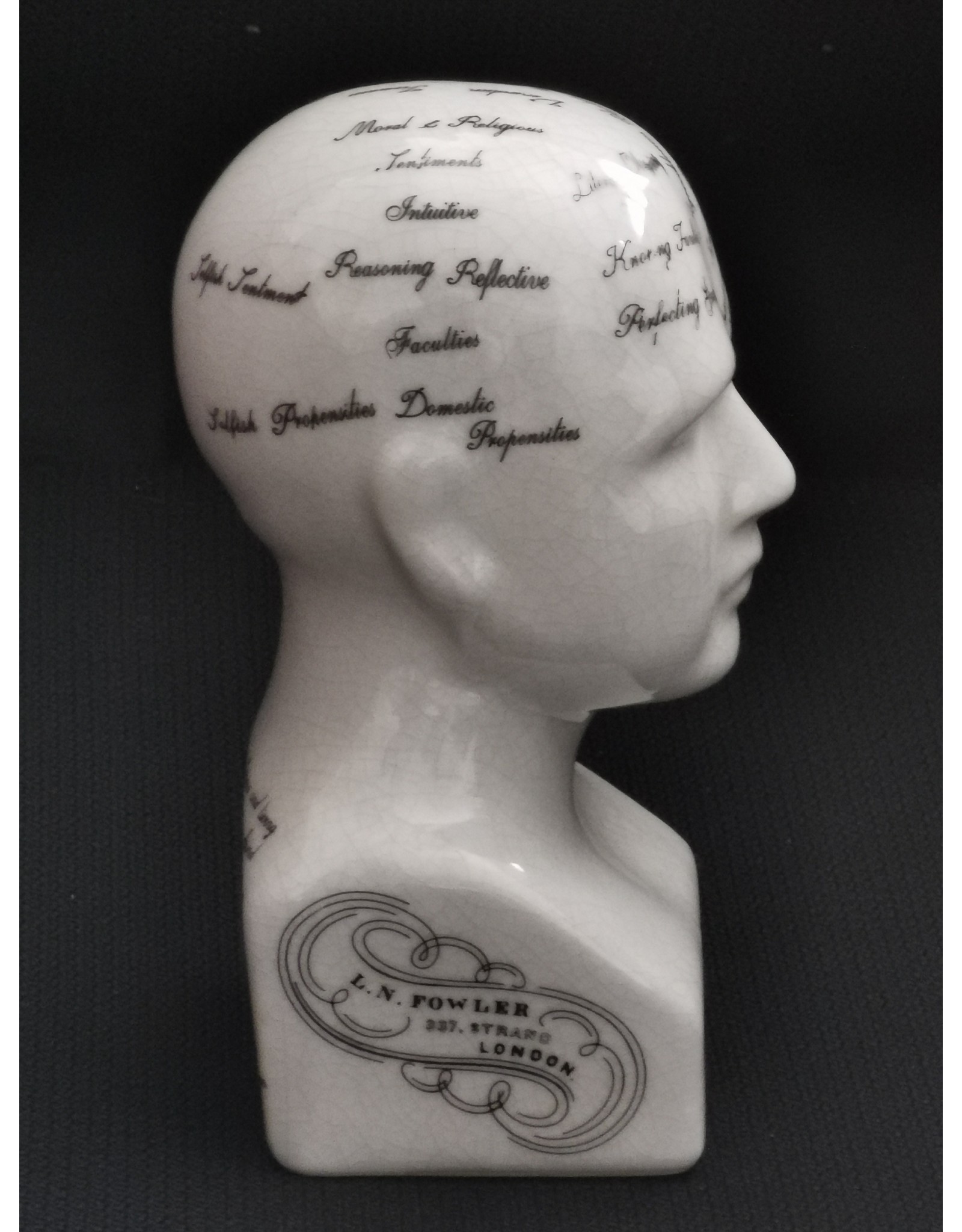 Trukado Miscellaneous - Phrenology  Ceramic Head Small (14cm)