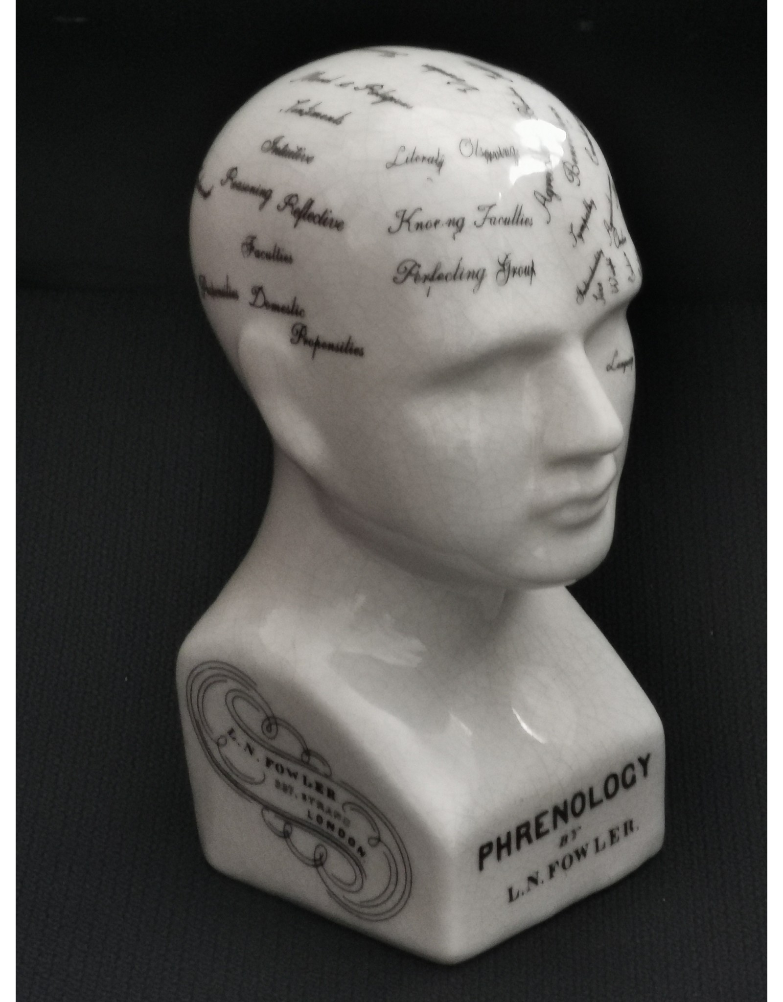 Trukado Miscellaneous - Phrenology  Ceramic Head Small (14cm)