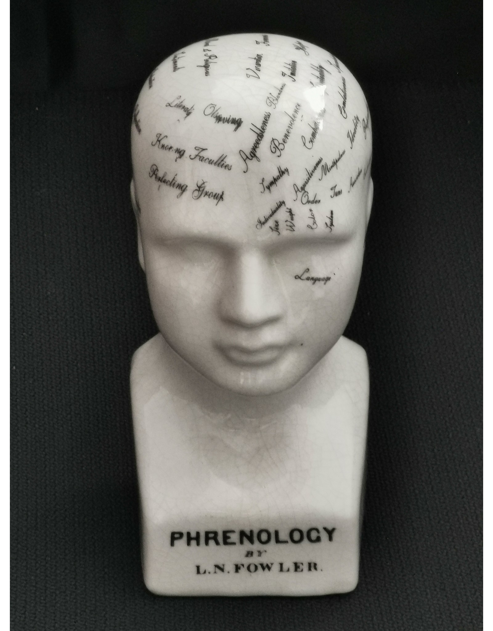 Trukado Miscellaneous - Phrenology  Ceramic Head Small (14cm)