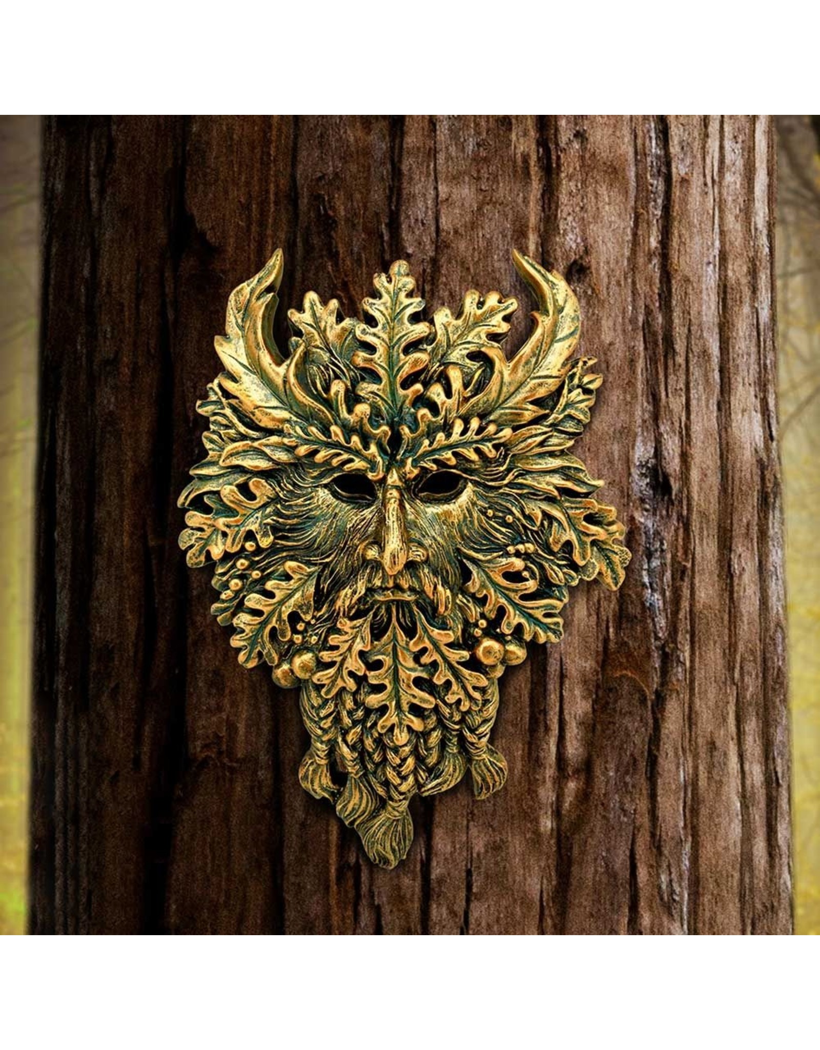 NemesisNow Miscellaneous - Spirit of the Ents Wall Plaque Nemesis Now