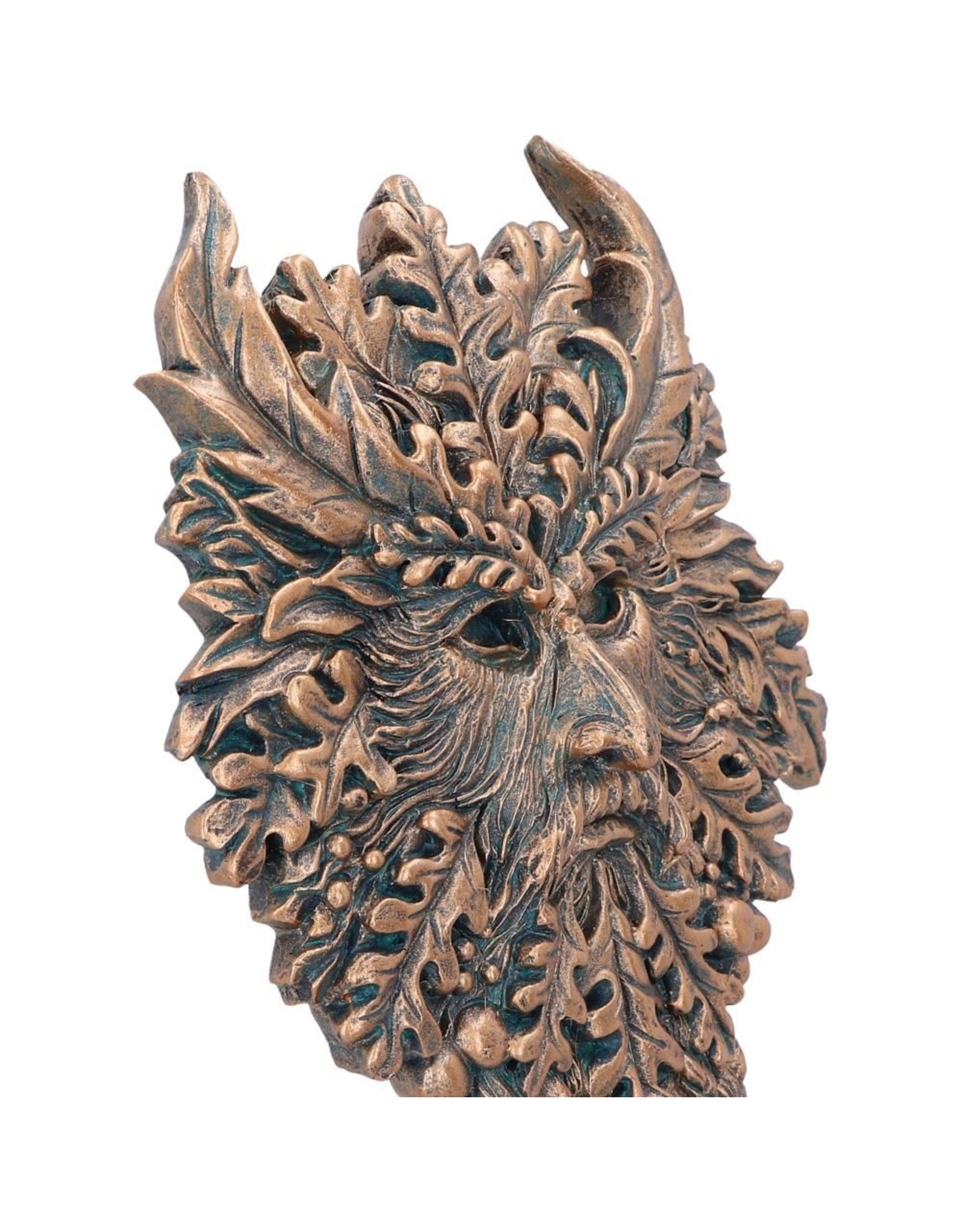 NemesisNow Miscellaneous - Spirit of the Ents Wall Plaque Nemesis Now