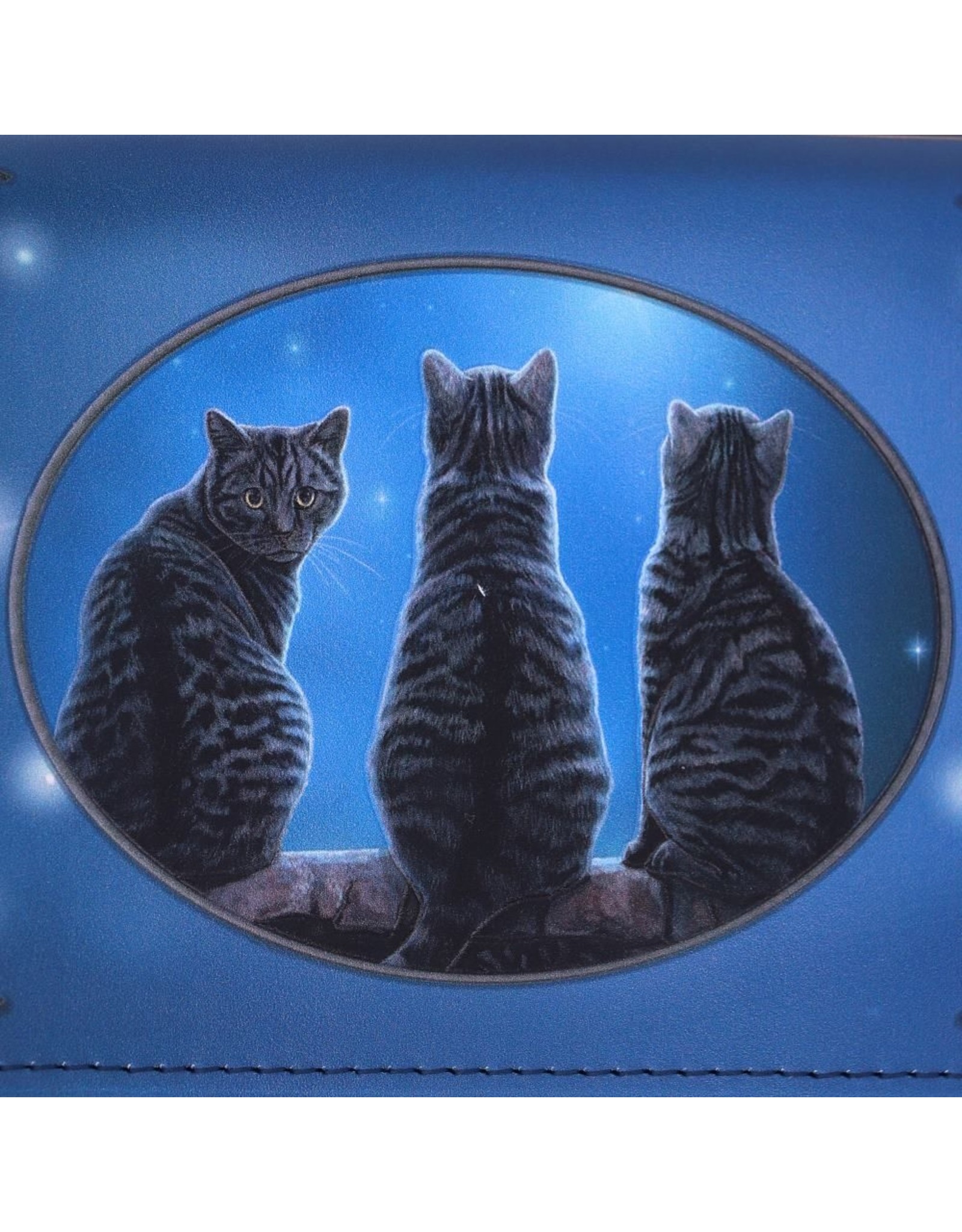 NemesisNow Gothic wallets and purses - Wish Upon a Star Embossed Purse Cats Lisa Parker