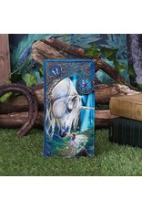 NemesisNow Gothic portemonnees - Lisa Parker Fairy Whispers reliëf portemonnee Unicorn en Fee