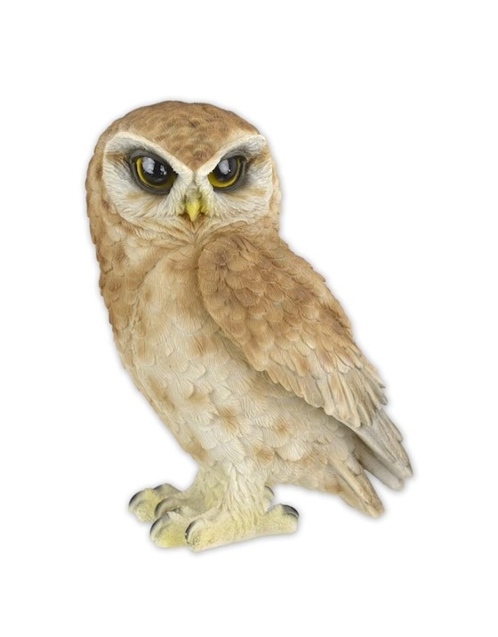 Trukado Giftware & Lifestyle -Saw-Whet Owl Figurine Large (19.3cm)