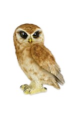 Trukado Giftware & Lifestyle -Saw-Whet Owl Figurine Large (19.3cm)