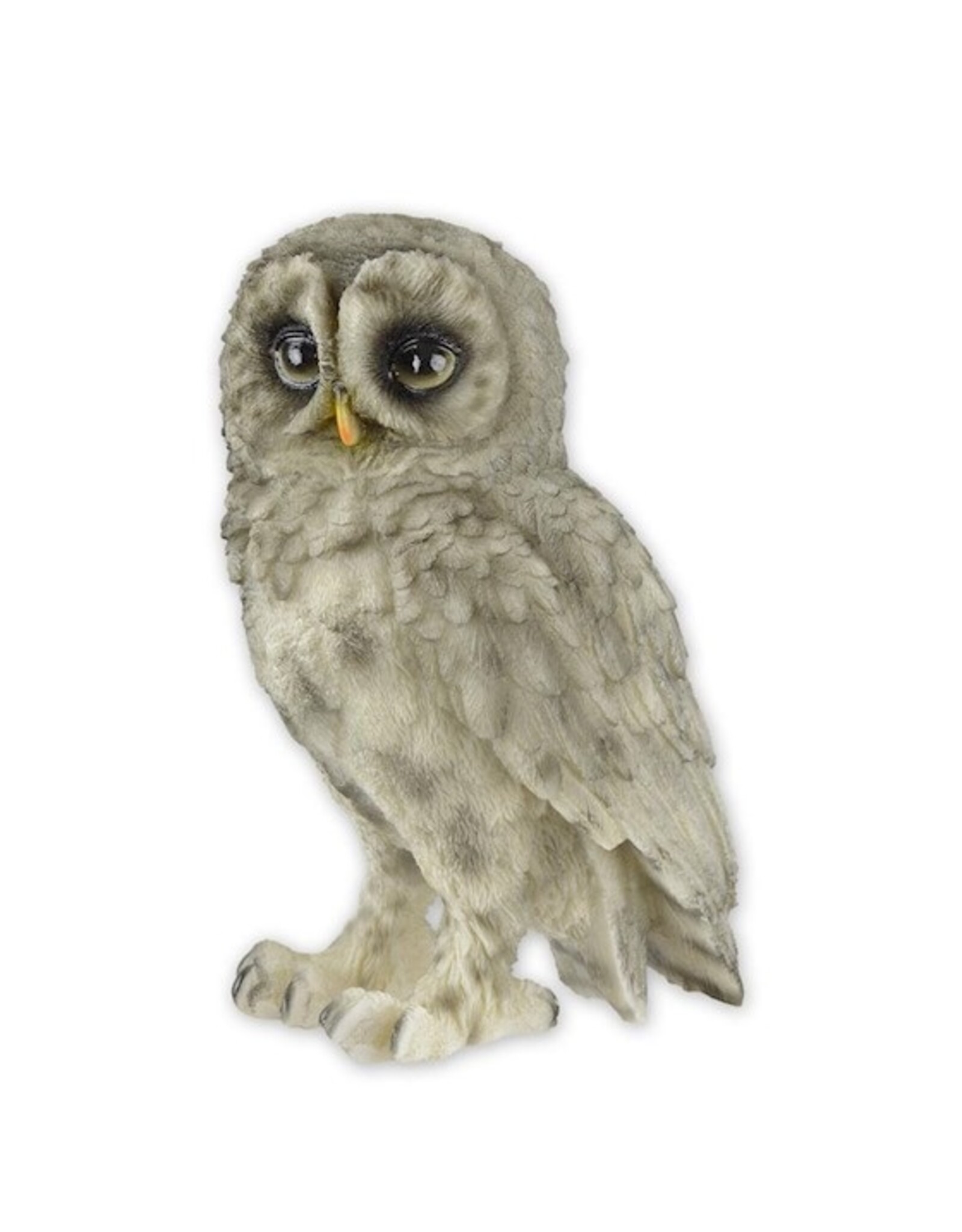 Trukado Giftware & Lifestyle - Barred Owl figurine Small (13.8cm)