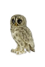 Trukado Giftware & Lifestyle - Barred Owl figurine Small (13.8cm)