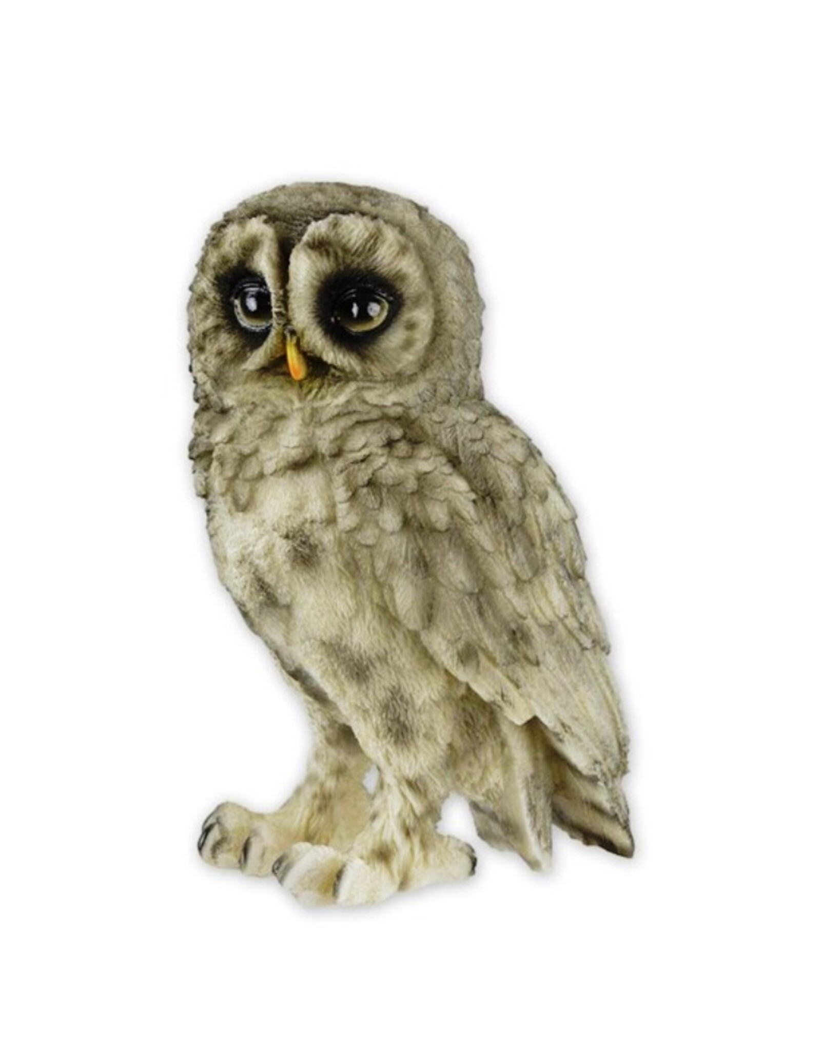 Trukado Giftware & Lifestyle - Barred Owl figurine Small (13.8cm)