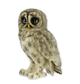 Trukado Barred Owl figurine Small (13.8cm)