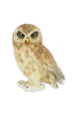 Trukado Giftware & Lifestyle - Saw-Whet Owl figurine Small (12.5cm)