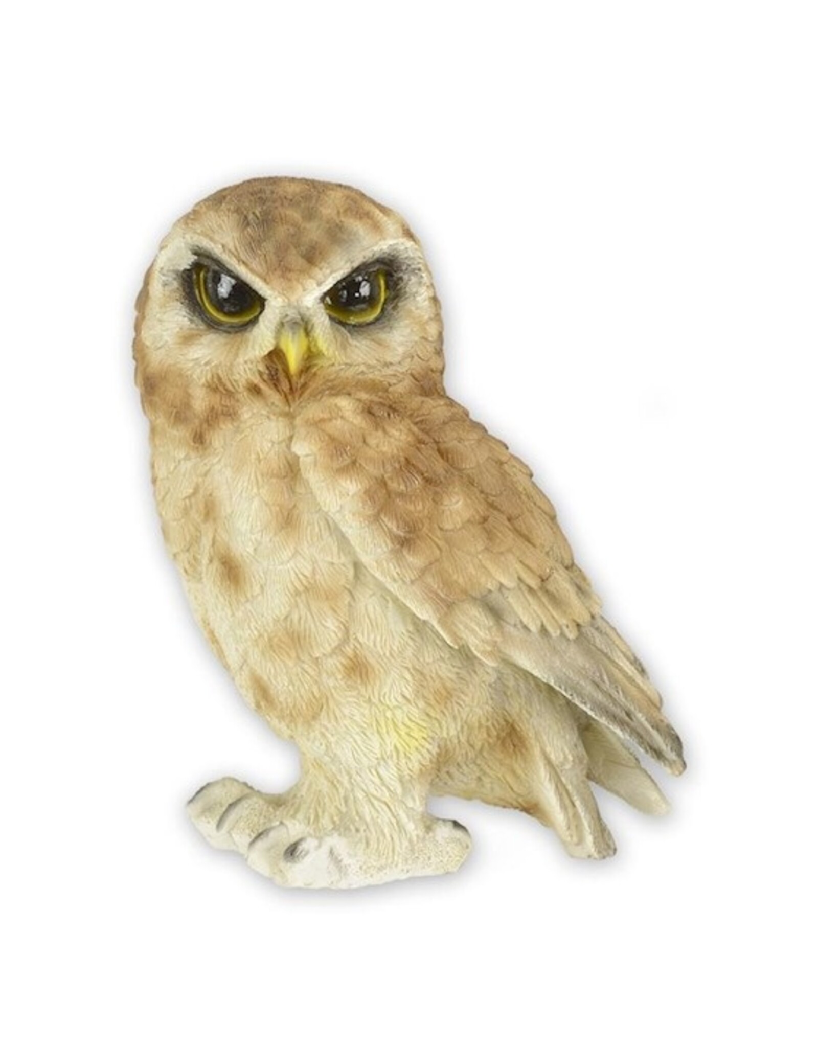 Trukado Giftware & Lifestyle - Saw-Whet Owl figurine Small (12.5cm)