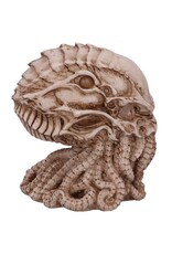 James Ryman bij Nemesis Now Giftware & Lifestyle - James Ryman Cthulhu Skull 20cm