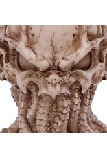 James Ryman bij Nemesis Now Giftware & Lifestyle - James Ryman Cthulhu Skull 20cm