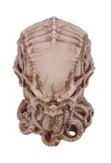 James Ryman bij Nemesis Now Giftware & Lifestyle - James Ryman Cthulhu Skull 20cm