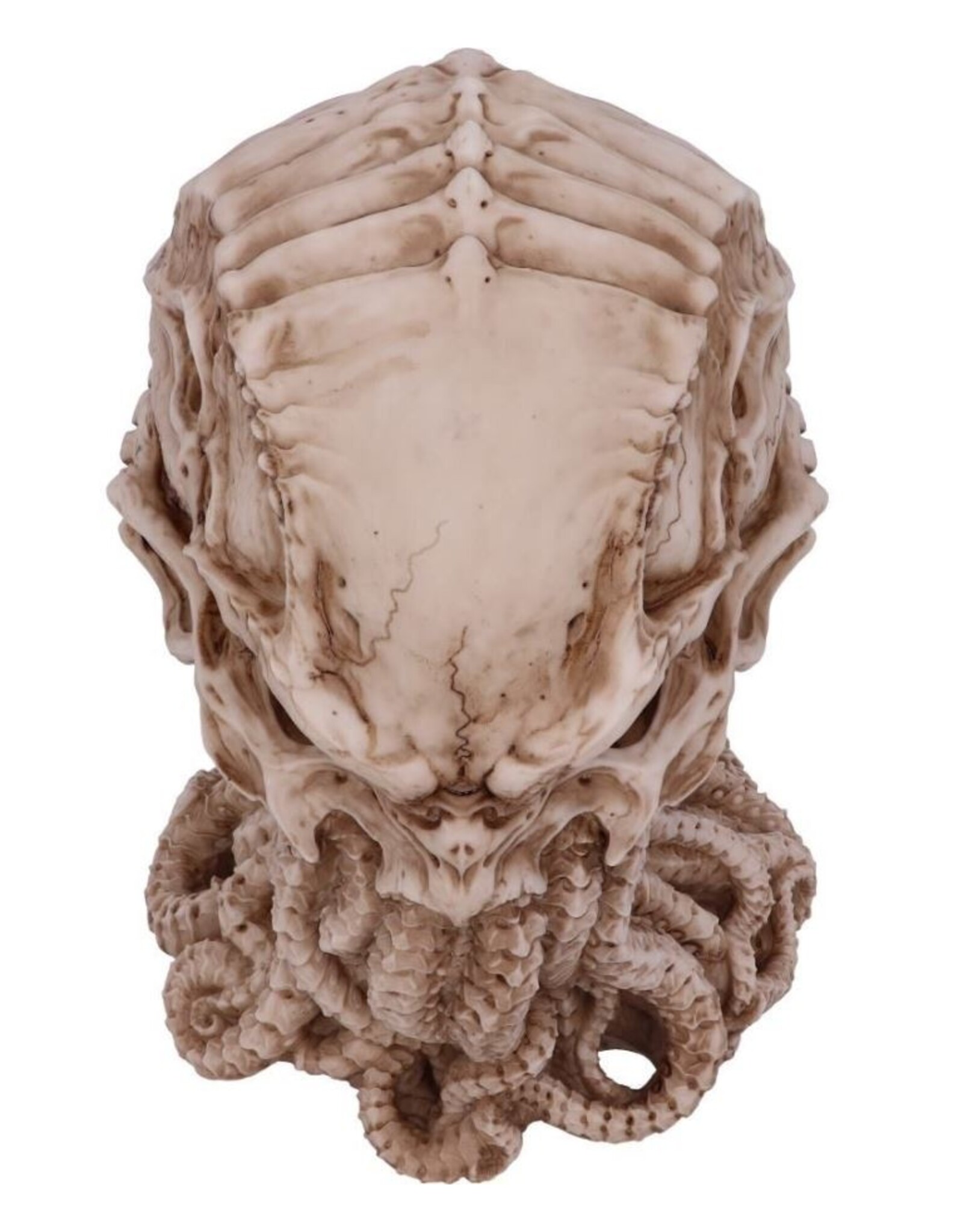 James Ryman bij Nemesis Now Giftware & Lifestyle - James Ryman Cthulhu Skull 20cm