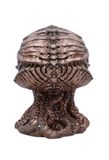 James Ryman bij Nemesis Now Giftware & Lifestyle - James Ryman Cthulhu Skull Gebronsd 20cm