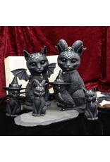 NemesisNow Giftware & Lifestyle - Cult Cuties Malpuss Large Occulte Kat Beeldje