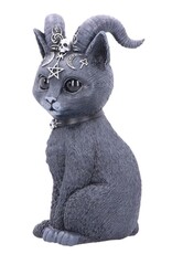 NemesisNow Giftware & Lifestyle - Cult Cuties Pawzuph Large Horned Occult Cat