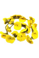 Trukado Miscellaneous - Felt Flower Sling Yellow handmade, approx. 180cm