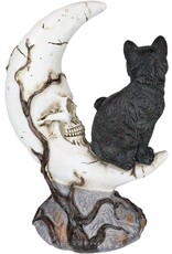 VG Giftware & Lifestyle - Black Cat on Skull Crescent - LED