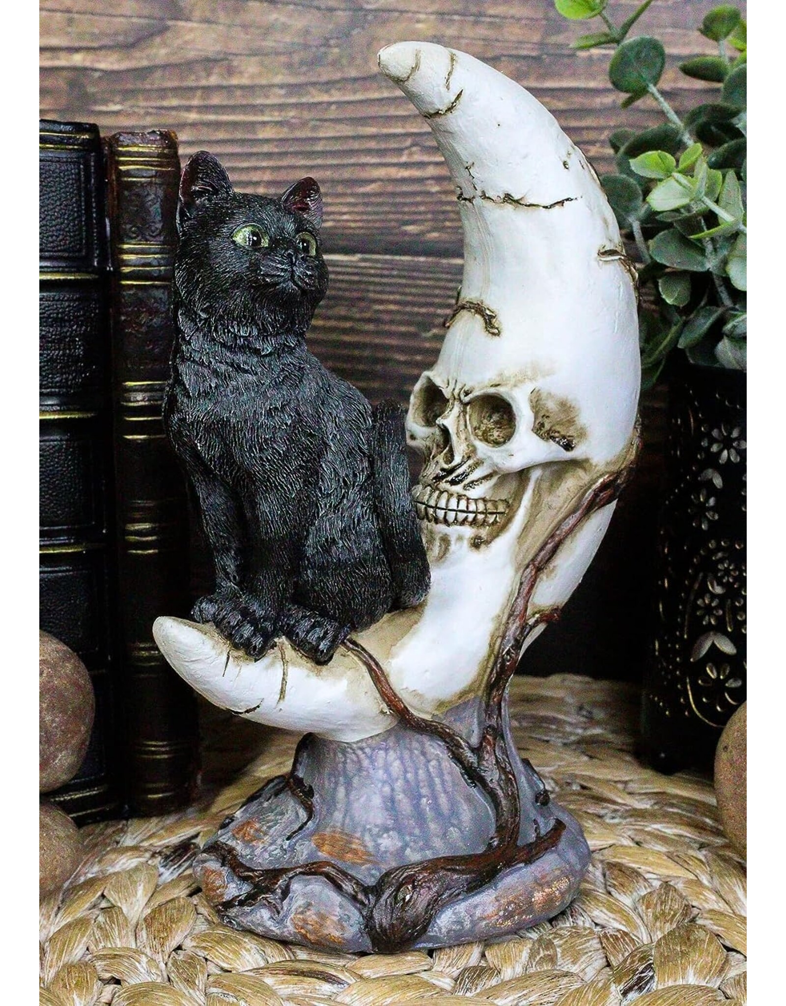 VG Giftware & Lifestyle - Black Cat on Skull Crescent - LED