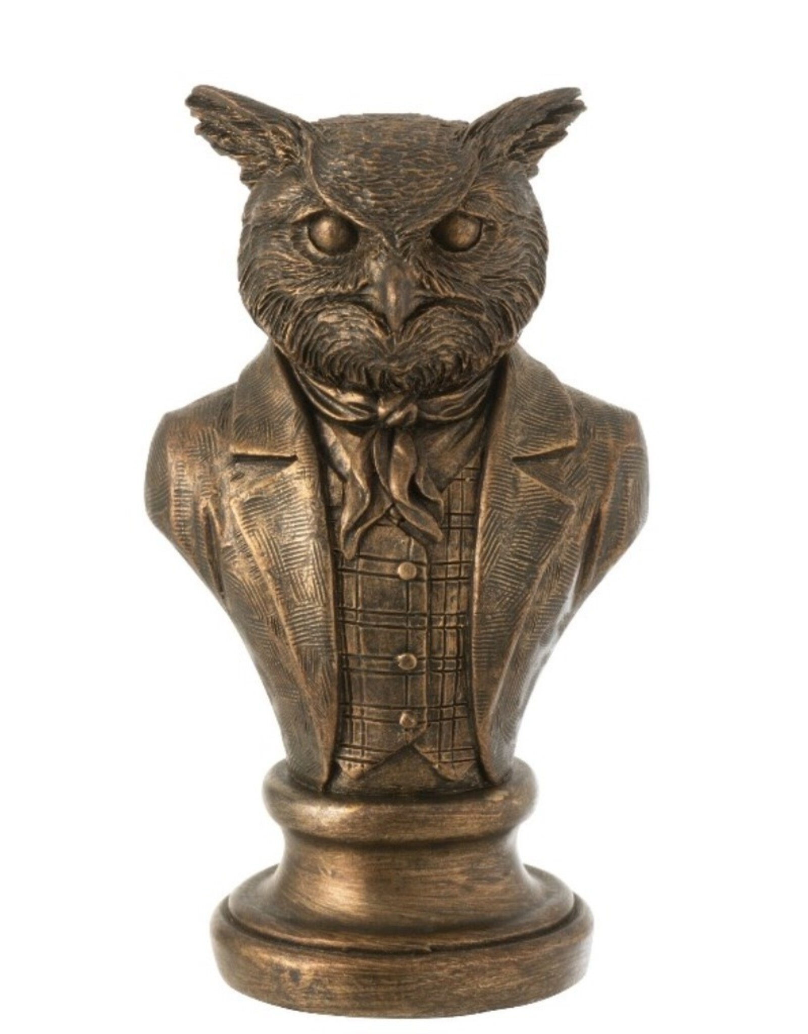 J-Line Giftware Figurines Collectables - Owl Bust 17.5cm bronze colored  (small)