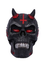 James Ryman bij Nemesis Now Schedels - James Ryman Helse Schedel  - Infernal Skull 20cm