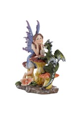 Puckator Giftware Beelden Collectables  - Woodland Spirit Fairy Draken Theekransje