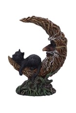 NemesisNow Giftware & Lifestyle - Familiar Slumber Cat figurine LED light