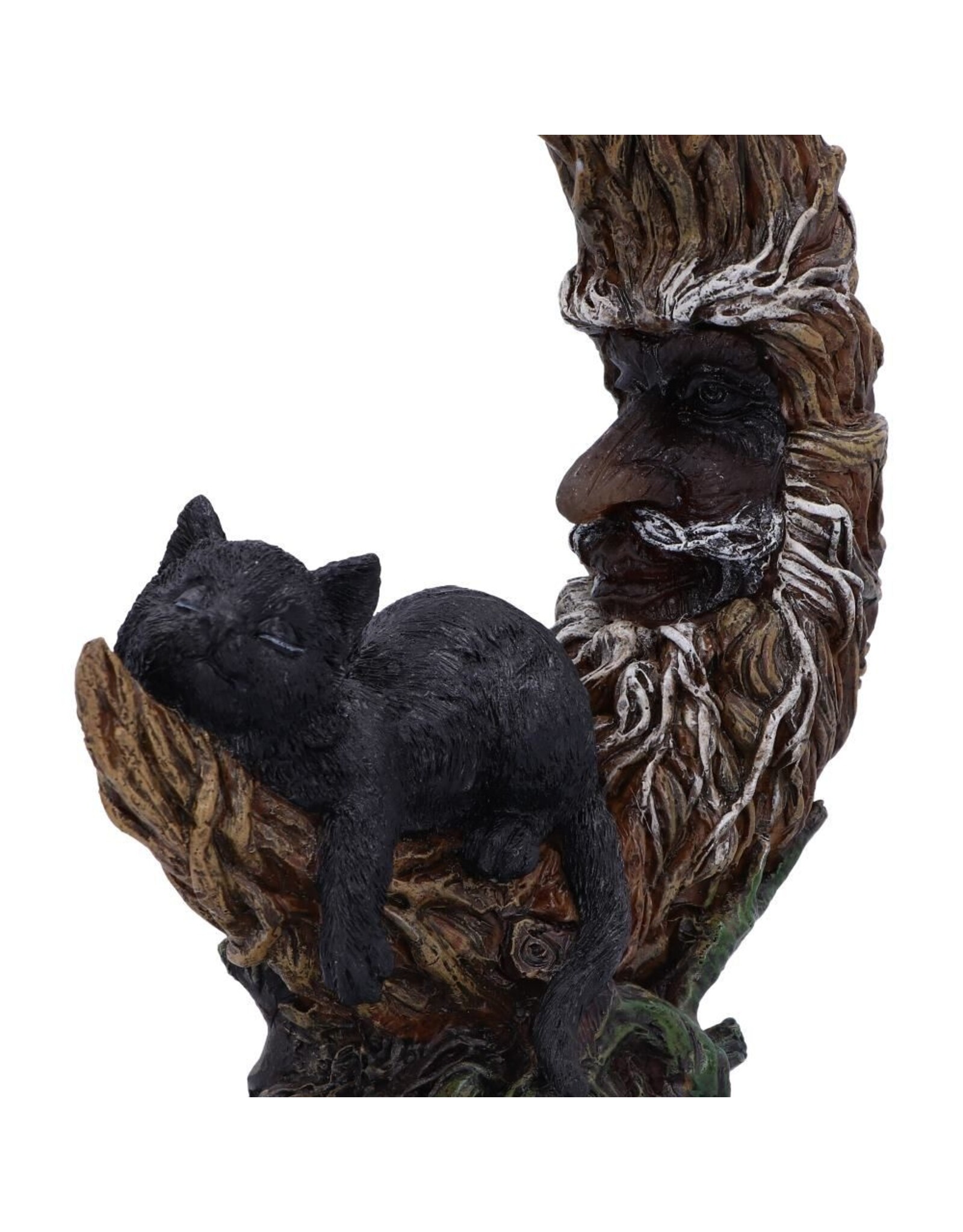 NemesisNow Giftware & Lifestyle - Familiar Slumber Cat figurine LED light