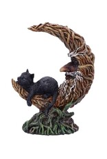 NemesisNow Giftware & Lifestyle - Familiar Slumber Cat figurine LED light