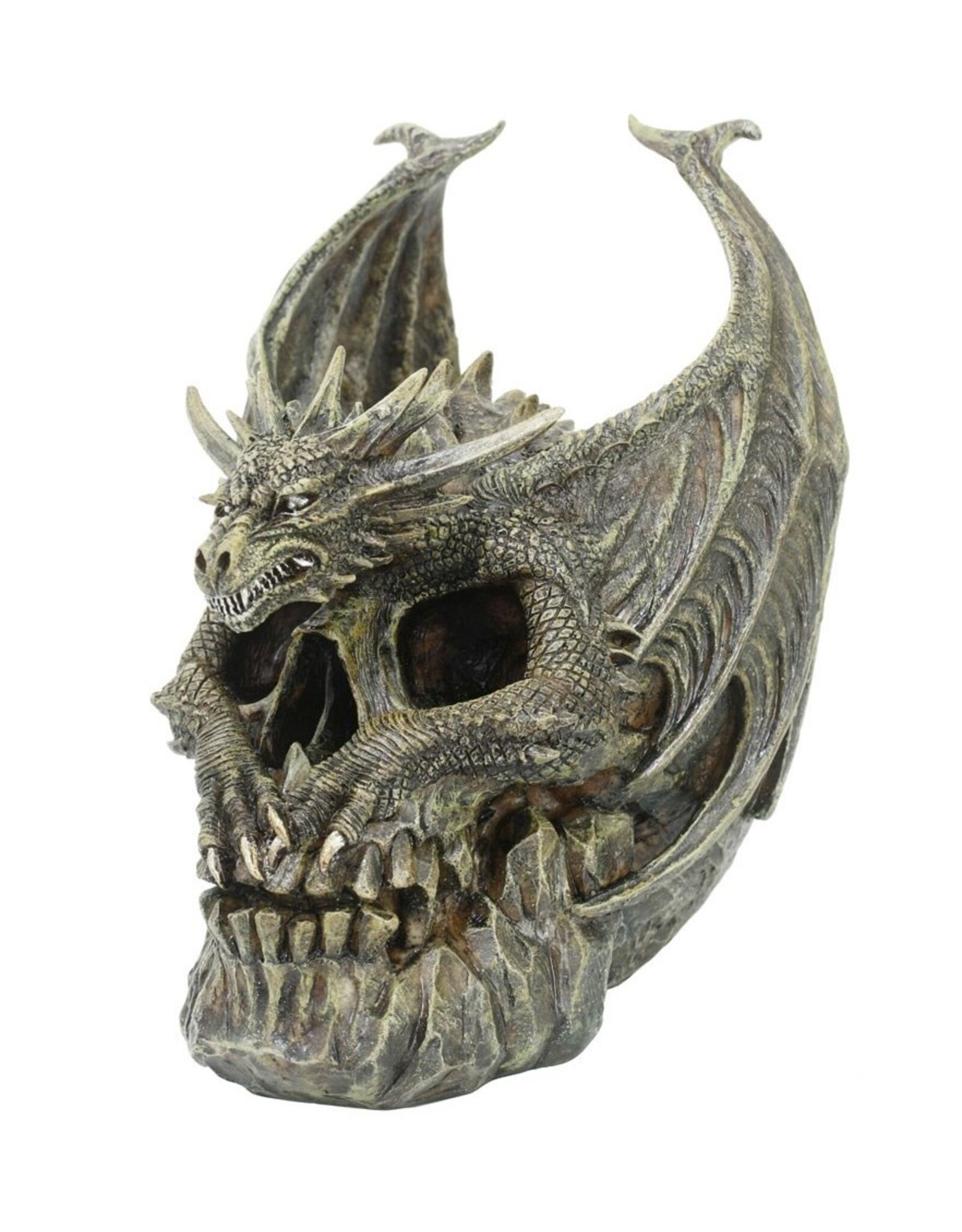 Spiral Direct Giftware & Lifestyle - Draco Dragon Skull Ornament Spiral Direct